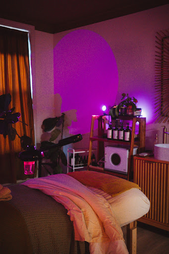 The Holistic Skin Studio