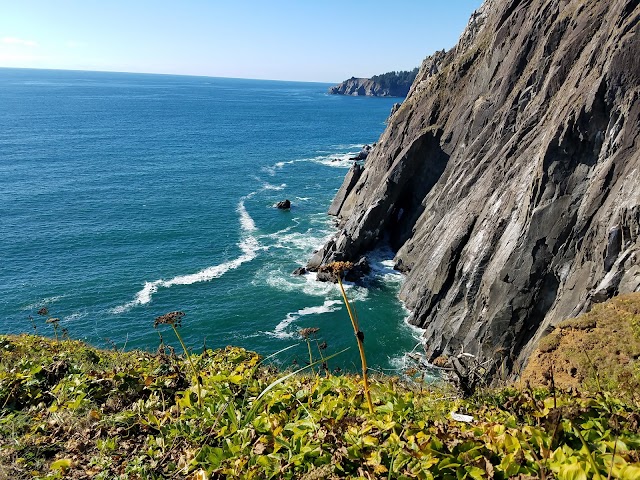 Oswald West State Park