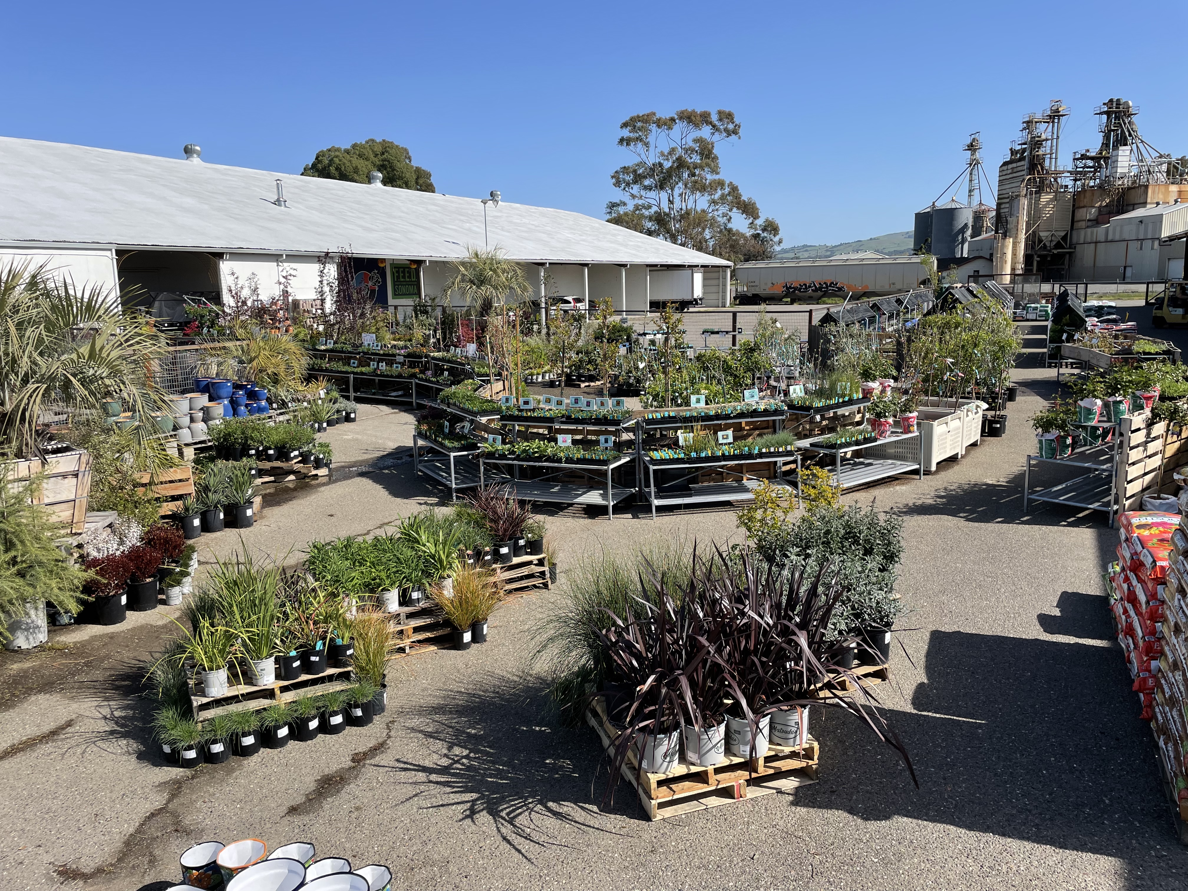 Harmony Farm Supply & Nursery - Petaluma