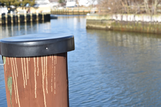 Seaford Town Dock - Thumbnail