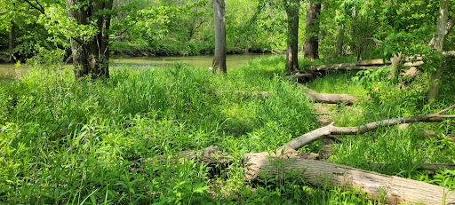David E. Richards Park - Visual