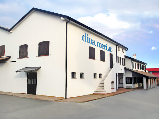 Dinameri - Visual