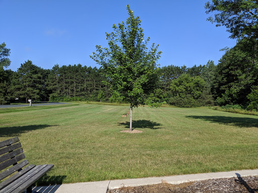 Langseth Park Gallery - United States