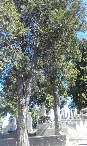 Cimetière de Saint-Victor sur Loire Gallery - France