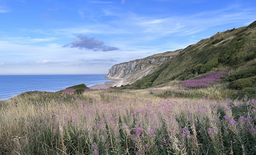 Speeton Beach - Thumbnail