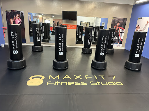 Maxfit7 - Visual