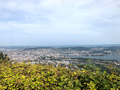 Zürich Haus GmbH - Thumbnail