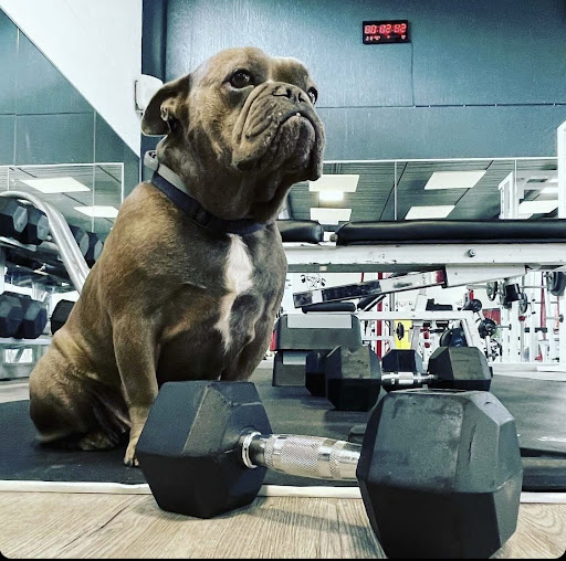 Heroes Factory - fitness center - Thumbnail