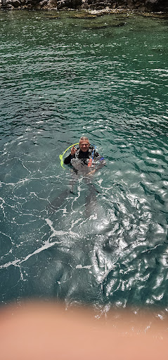 Venus Dive Bodrum Akyarlar