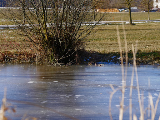 Tümpel von Bergham - Thumbnail