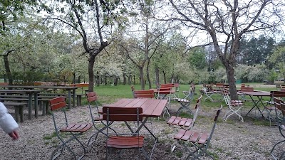 Photos of atzelsberger