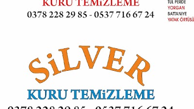 Silver Kuru Temizleme