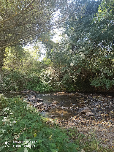 Île de cheyrac - Thumbnail