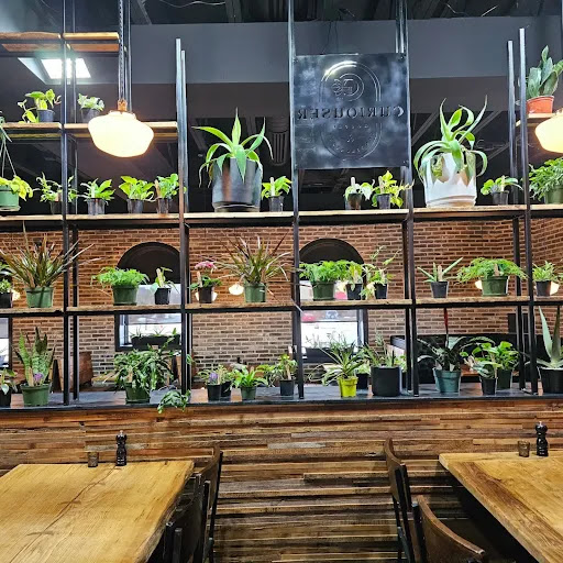 Curiouser Coffee and Conservatory Gallery - United States