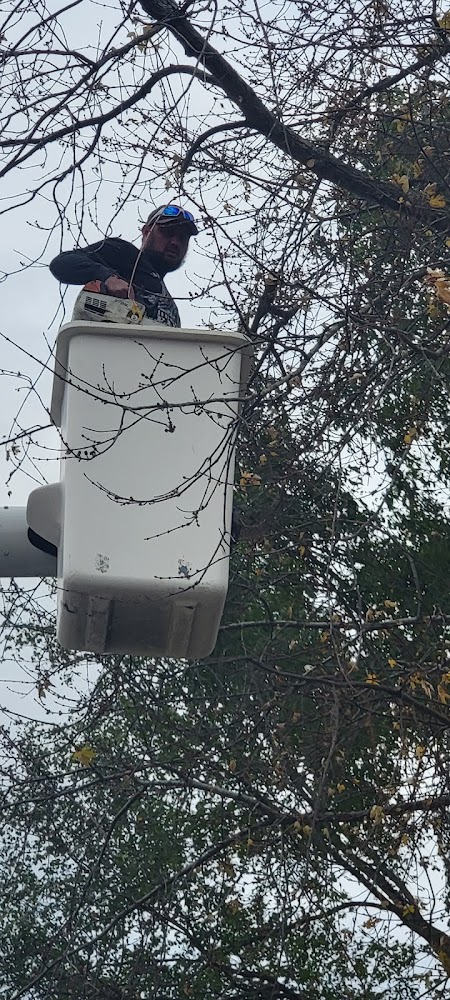 Executive Tree & Shrub – photo 2 of 3