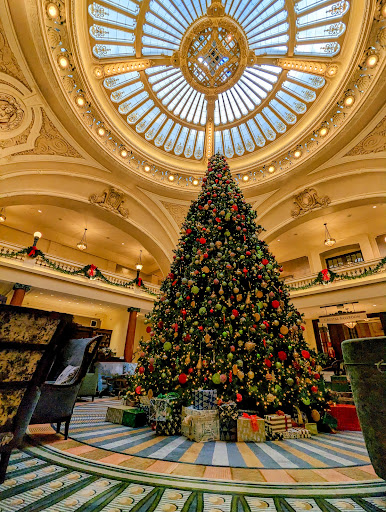 Trellis Room - Visual