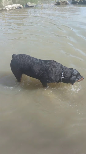 56 All. Rémond, 93190 Livry-Gargan