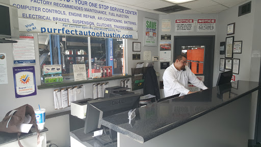 Purrfect Auto Services - Thumbnail