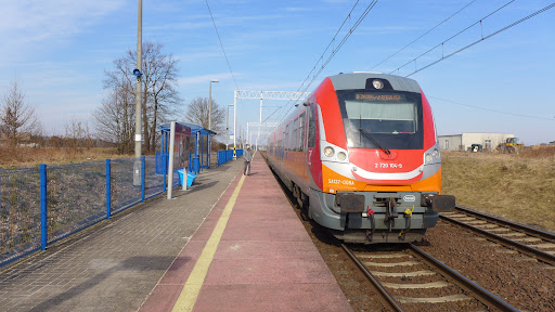 Lasów