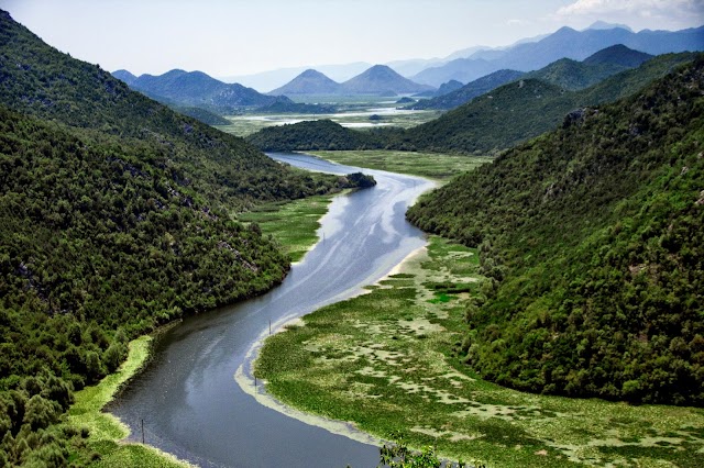 Lac de Shkodra