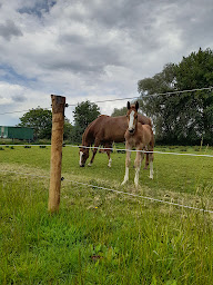 Photo n°5 de Lien Des Sens à Anhiers (Coach particulier)