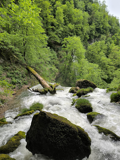 Parc naturel régional du Doubs Horloger - Thumbnail