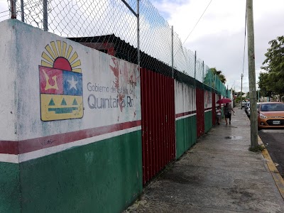 Photos of Escuela Primaria Urbana Fedral Patria