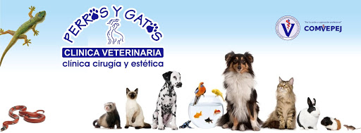Perros y Gatos. clinica Veterinaria - Thumbnail