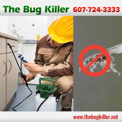 The Bug Killer