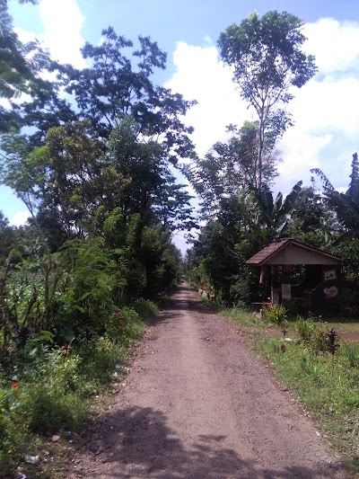 Photos of Bambang Homestay ijen