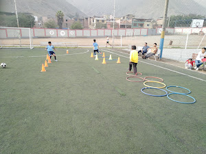 INSTITUTO PERUANO DEL DEPORTE C.D. MANGOMARCA 6