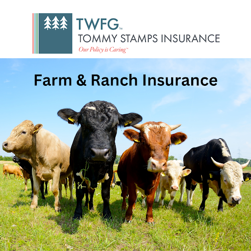Tommy Stamps Insurance Gallery - United States
