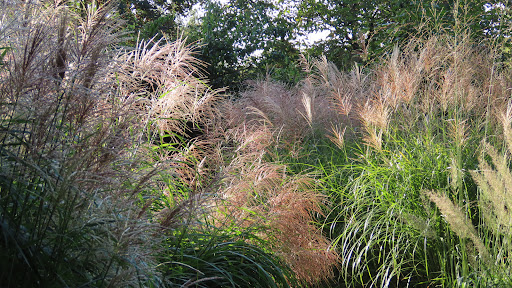 Stadtrandgarten Hamborn - Thumbnail