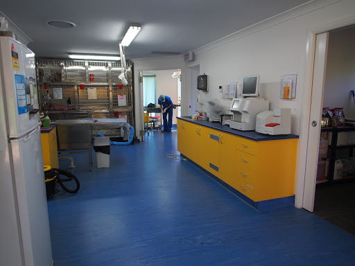 Wellpet St Clair Animal Hospital Gallery - Australia