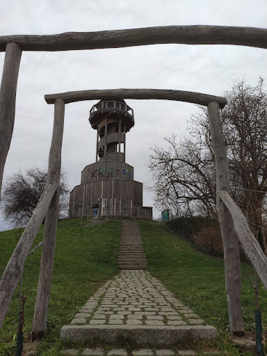 Treppe am seepark - Thumbnail