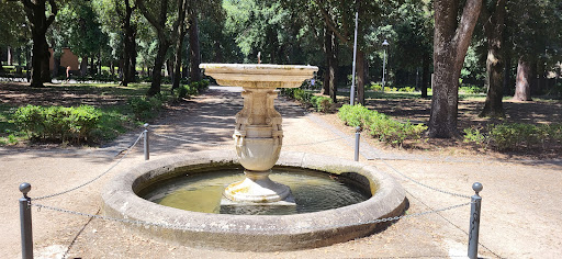 Frascati paese - Thumbnail