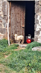 Photo n°12 de Chambre d'hôtes à la ferme à Mazan-l'Abbaye (Chambre d'hôtes)