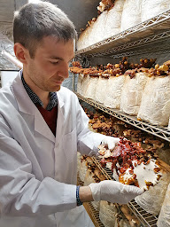 Photo n°2 de Odyssey mushrooms à Ascain (Magasin de vitamines et compléments alimentaires)