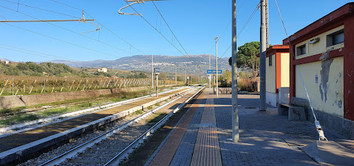 Solopaca - Visual