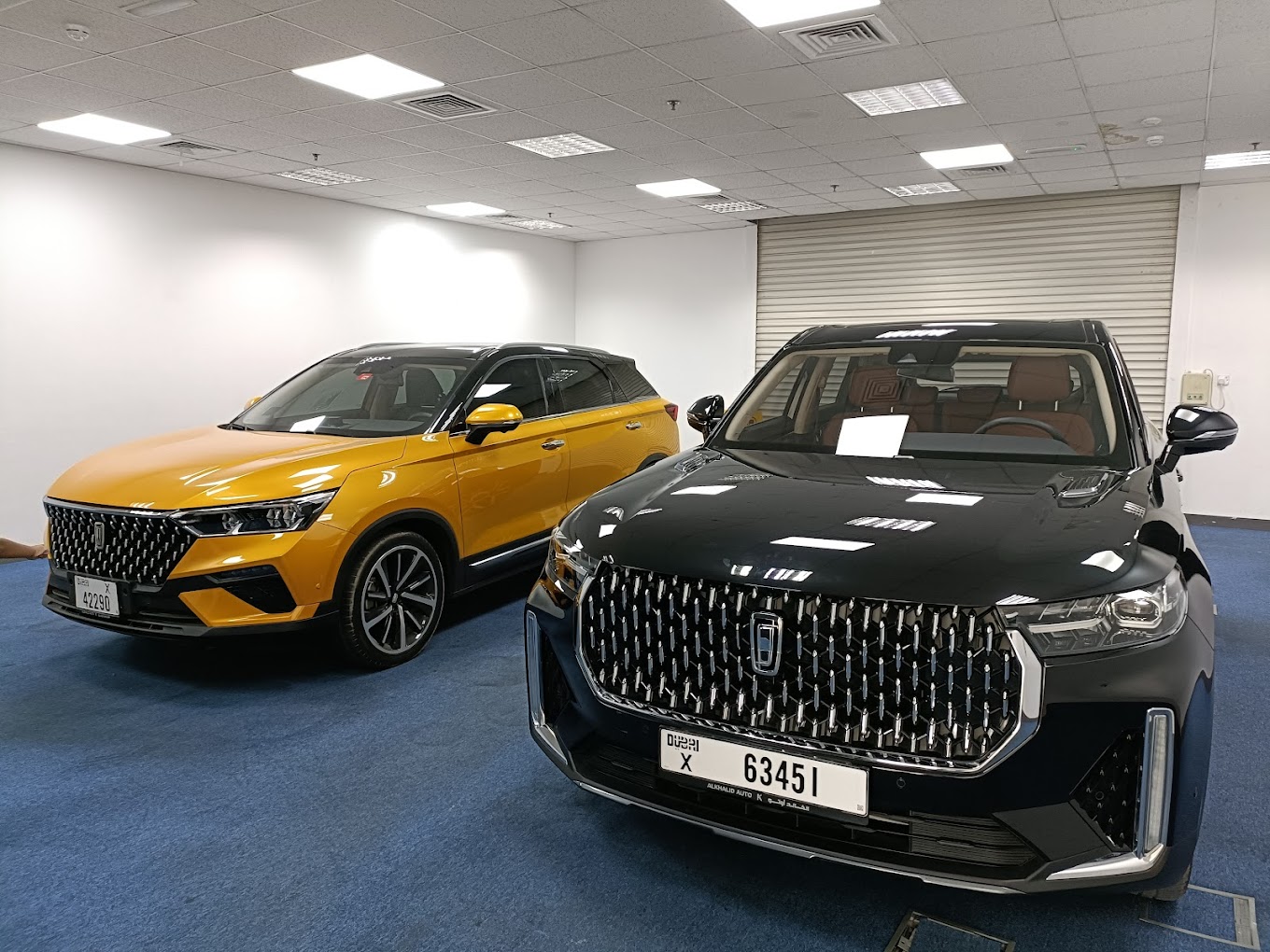 معرض الحصان الاسود للسيارات (48) - صورة 3