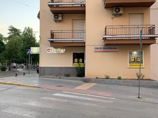 FORTIER INMOBILIARIA Gallery - Spain