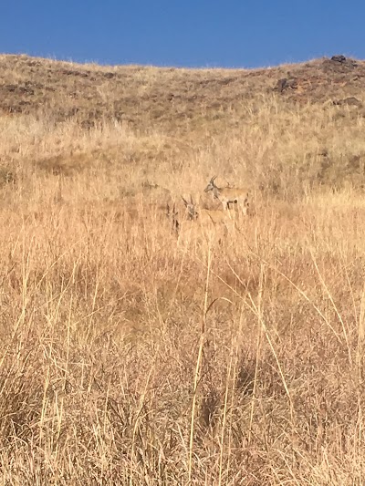 Photos of Lotheni KZN Wildlife Resort