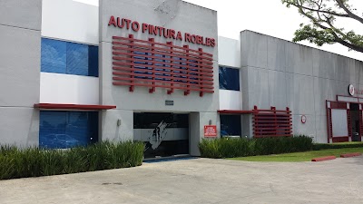 Photos of Auto Painting Robles