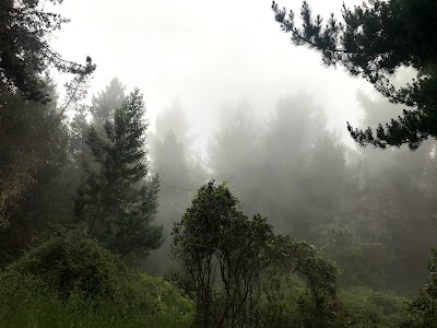 Kula Forest Reserve