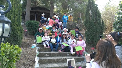 Photos of Cukurova S&uuml;leyman Demirel Arboretum