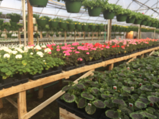 Bethlehem Greenhouse & Nursery