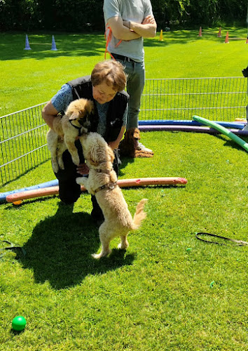 Hundefreunde Krefeld Bockum