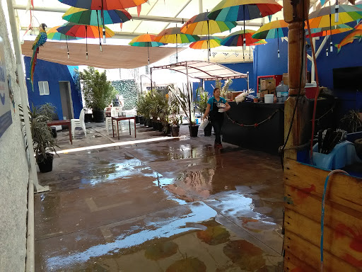 Clase 1 Carwash Gallery - Mexico