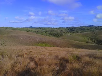 Photos of Padang Laya