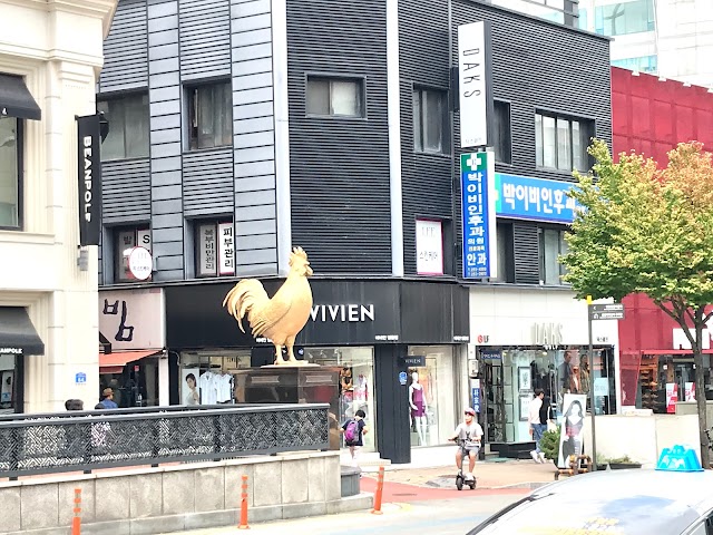 Chuncheon Dakgalbi Street